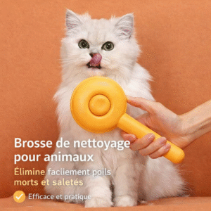 brosse de nettoyage pour animaux