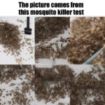 Lampe Anti-Moustiques Électrique USB – Éclairage UV & Grille Haute Tension – Noir – Image 5