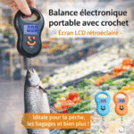 balance électronique portable avec crochet – Écran lcd rétroéclairé
