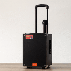 Enceinte Portable avec Micro Sans Fil – Trolley Bluetooth Rechargeable - 50cm x 30cm x 25cm