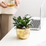 Cache-Pot Visage Sculpté – Design Moderne & Zen – Disponible en Doré