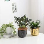 Cache-Pot Visage Sculpté – Design Moderne & Zen – Disponible en Doré – Image 4