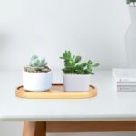 1 Plateau Ovale en Bambou Naturel (19cm x 10 cm) – Organisateur Design pour Cuisine, Salle de Bain et Déco – Image 3