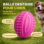 jouet pour chats & chien ballon