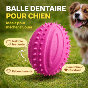 jouet pour chats & chien ballon