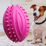 jouet pour chats & chien ballon