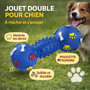 jouet pour chats & chiens os