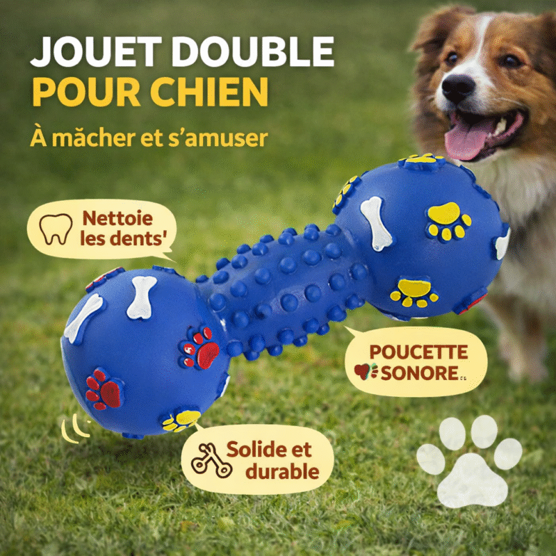 jouet pour chats & chiens os