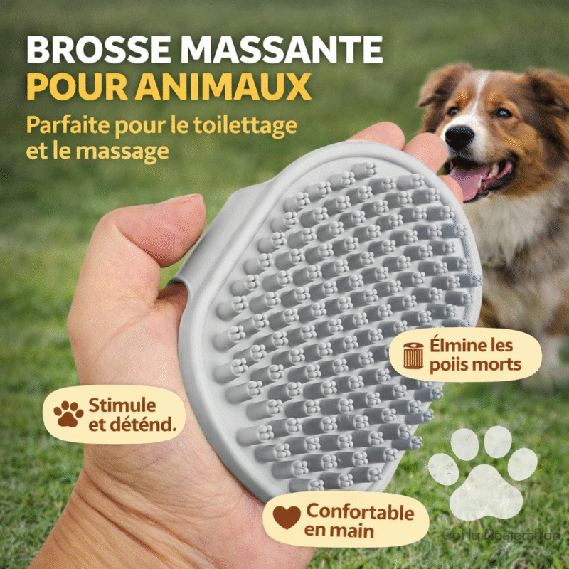 scrubber cleaning brush